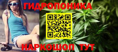 стафф Чебоксары