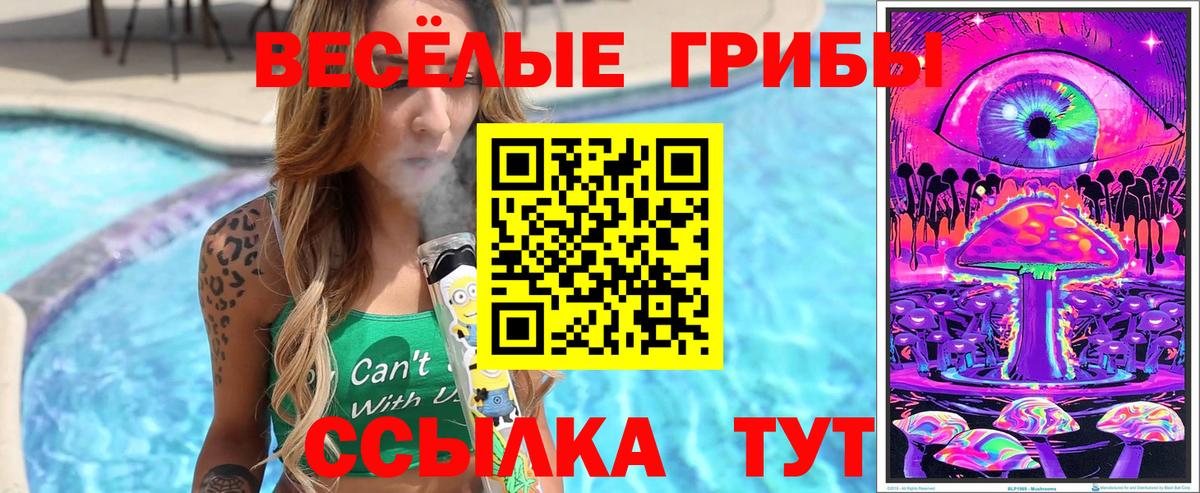 Снежинск  Галлюциногенные грибы Cubensis  где продают наркотики  Галлюциногенные грибы Psilocybe  Вход с VPN 